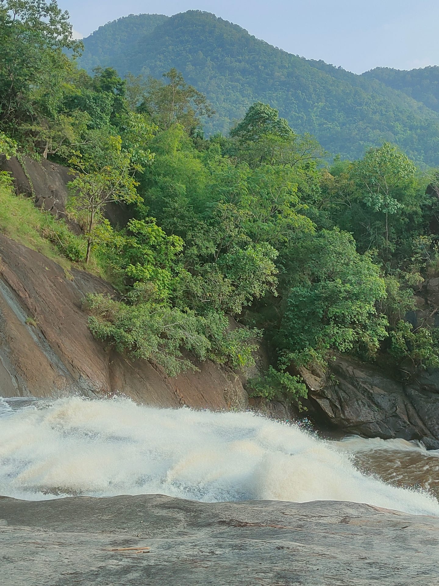 Sariya water Falls